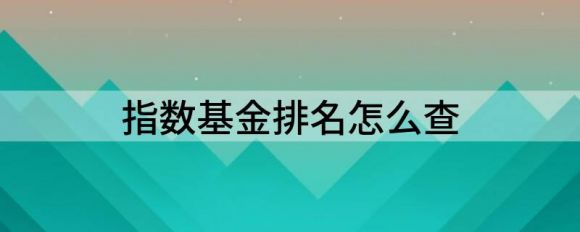 指数基金排名如何查(实操买股票型ETF指数基金）