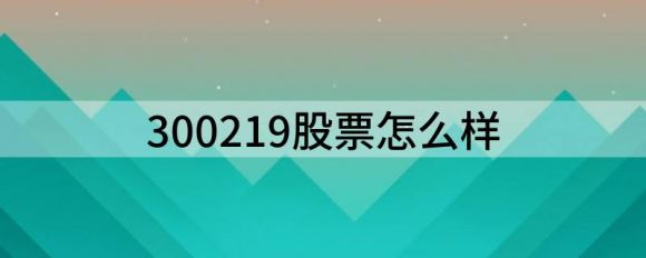 300219股票怎么样(鸿利智汇涨8.02%）