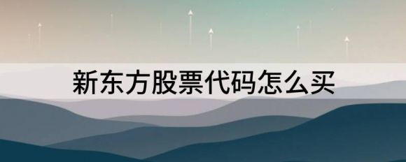 如何购买新东方股票代码(新东方暗盘上涨15%)