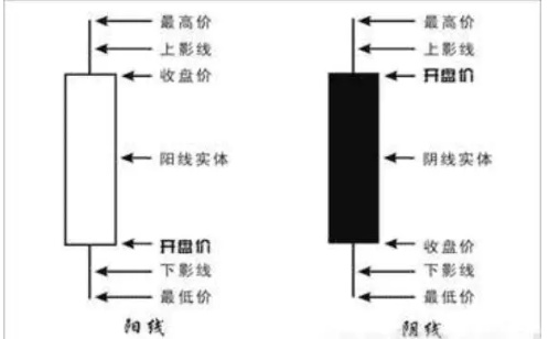 开盘价是怎么决定的？有什么参考意义？