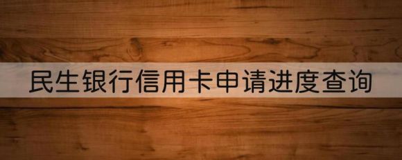 民生银行信用卡申请进度查询（信用卡审核进度查询通道大全）