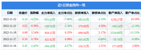 002206海利得股票最新消息（11月22日主力资金净卖出955.63万元）