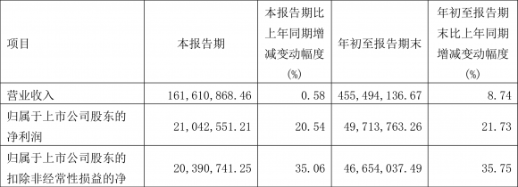 603016新宏泰三季报（2022年前三季度净利润4971.38万元）