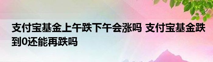 支付宝基金上午跌下午会涨吗？支付宝基金跌到0还能再跌吗？