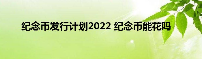 纪念币发行计划2022，纪念币能花吗？