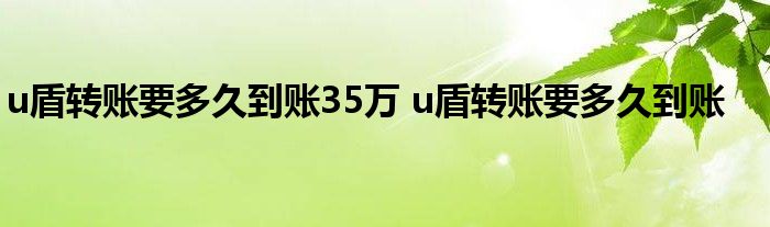 u盾转账到账35万要多久？u盾转账到账多久