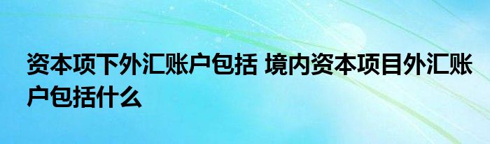 国内资本项目外汇账户包括什么？