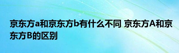 京东方a和京东方b有什么区别 京东方A和京东方B的区别