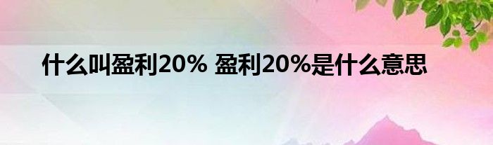 什么%的利润是什么意思？