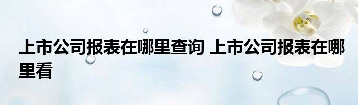 在哪里查询上市公司报表？