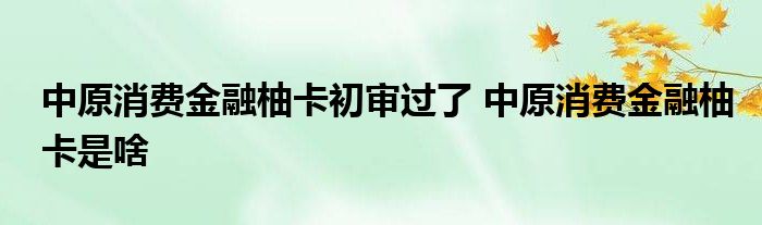 中原消费金融柚卡初经初步审查，中原消费金融柚卡是什么