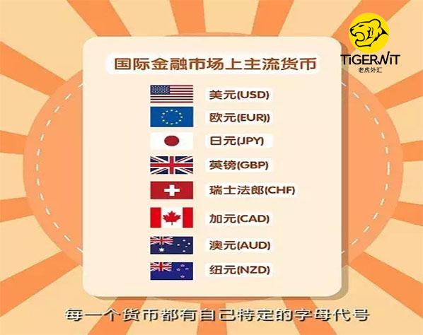 nzd是什么货币，usd是什么货币（国际外汇市场交易中选择哪些货币对交易盈利更高）