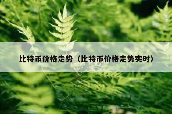 比特币价格走势（比特币价格走势实时）