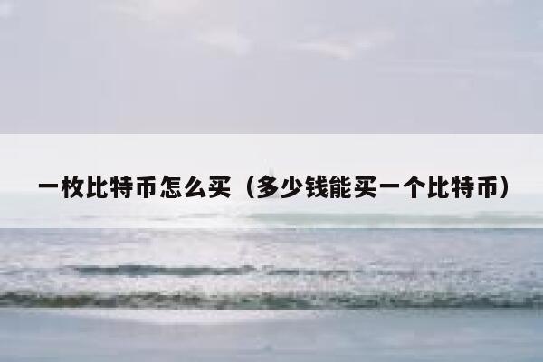 一枚比特币怎么买（多少钱能买一个比特币）