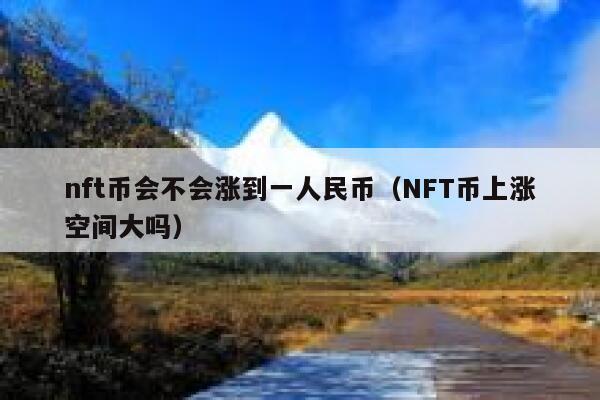 nft币会不会涨到一人民币（NFT币上涨空间大吗）