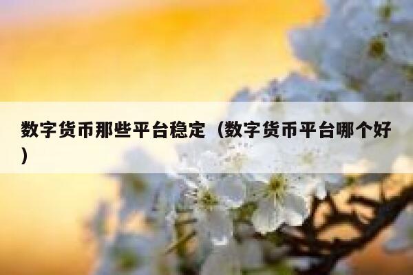 数字货币那些平台稳定（数字货币平台哪个好）