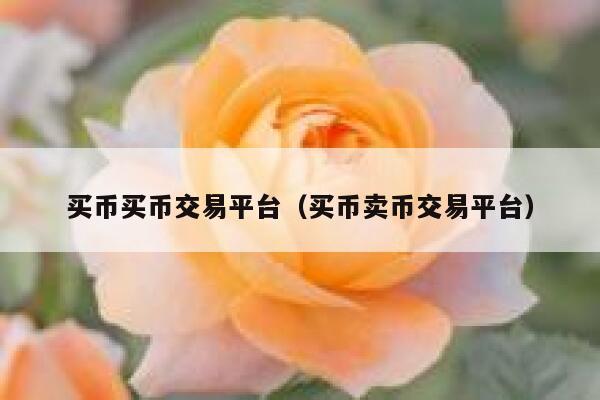 买币买币交易平台（买币卖币交易平台）