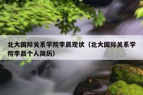 北大国际关系学院李晨现状（北大国际关系学院李晨个人简历）