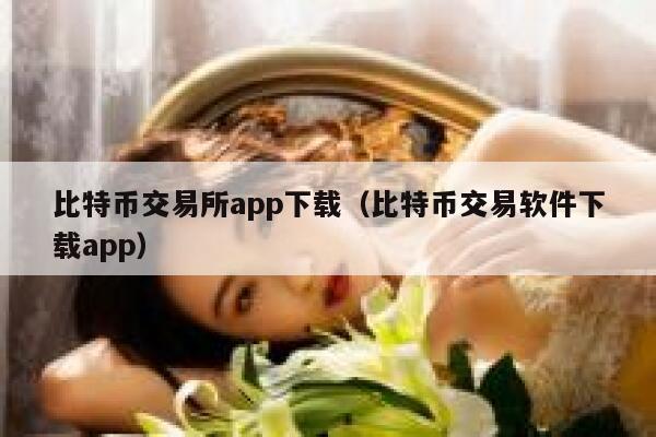 比特币交易所app下载（比特币交易软件下载app）