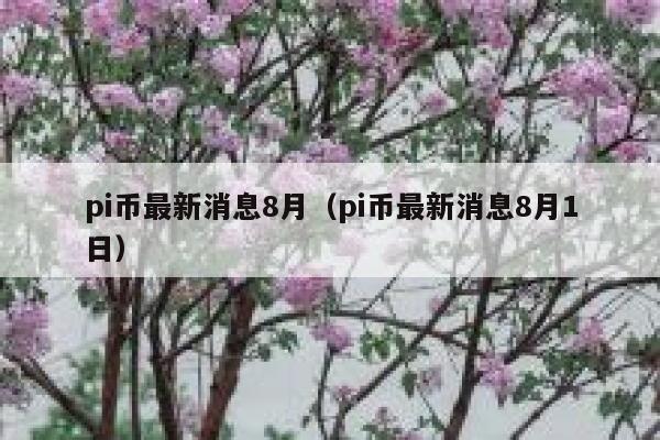 pi币最新消息8月（pi币最新消息8月1日）