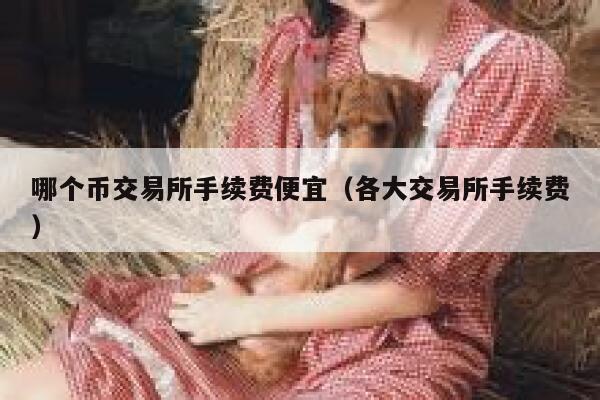 哪个币交易所手续费便宜（各大交易所手续费）