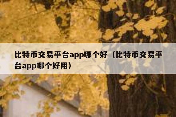 比特币交易平台app哪个好（比特币交易平台app哪个好用）