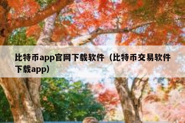 比特币app官网下载软件（比特币交易软件下载app）