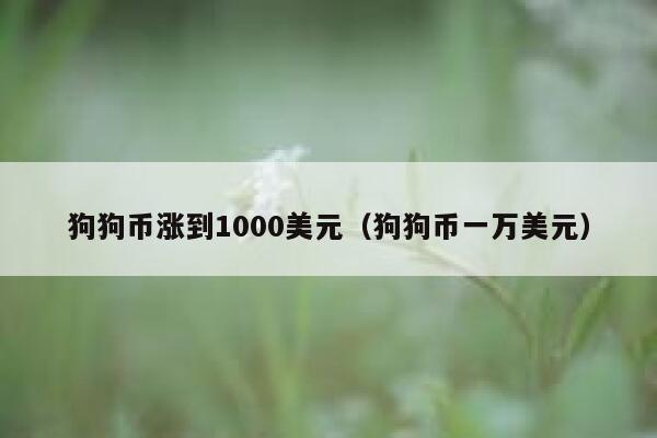 狗狗币涨到1000美元（狗狗币一万美元）