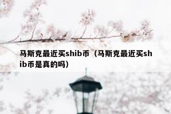 马斯克最近买shib币（马斯克最近买shib币是真的吗）