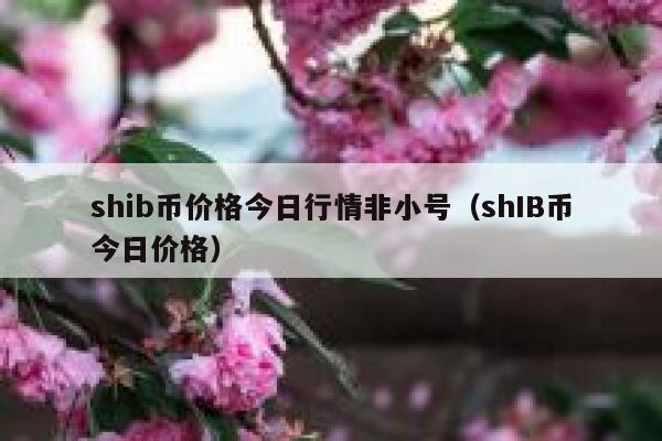 shib币价格今日行情非小号（shIB币今日价格）