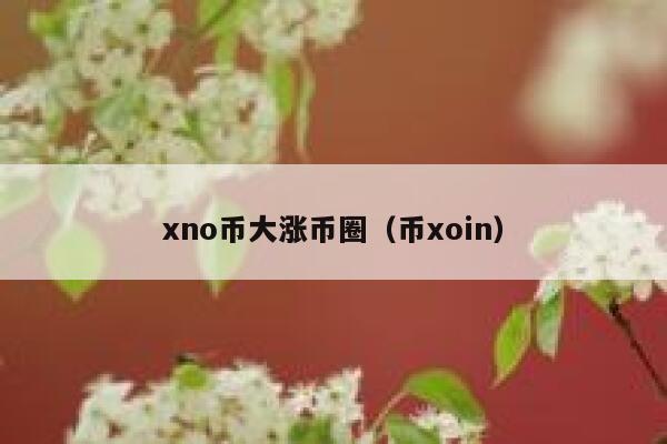 xno币大涨币圈（币xoin）