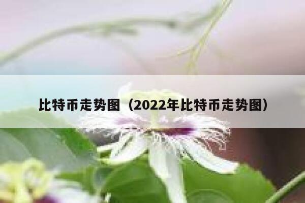 比特币走势图（2022年比特币走势图）