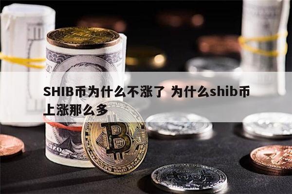 shib币最新消息暴跌后能涨吗 shib大跌是什么原因