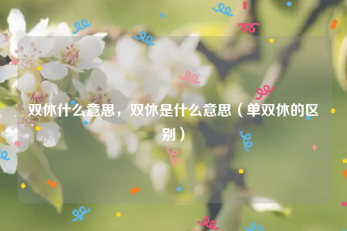 双休什么意思，双休是什么意思（单双休的区别）