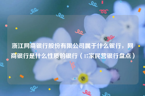 浙江网商银行股份有限公司属于什么银行，网商银行是什么性质的银行（17家民营银行盘点）