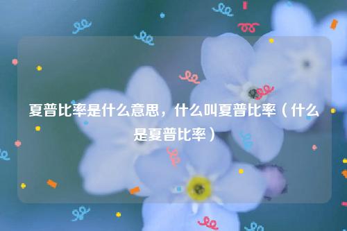 夏普比率是什么意思，什么叫夏普比率（什么是夏普比率）