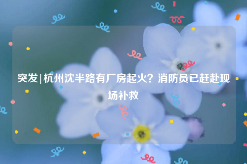 突发|杭州沈半路有厂房起火？消防员已赶赴现场补救