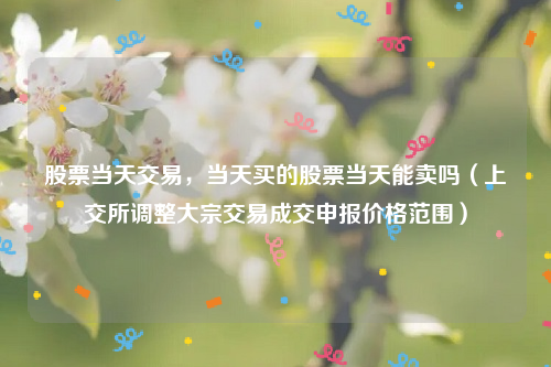 股票当天交易，当天买的股票当天能卖吗（上交所调整大宗交易成交申报价格范围）