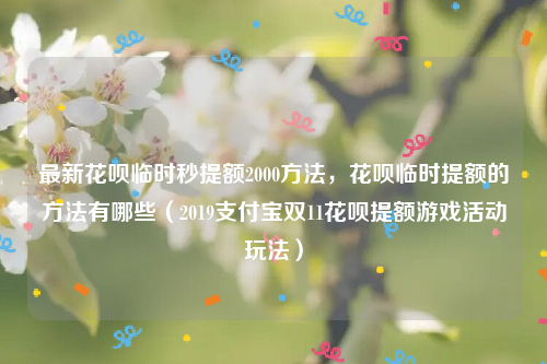 最新花呗临时秒提额2000方法，花呗临时提额的方法有哪些（2019支付宝双11花呗提额游戏活动玩法）