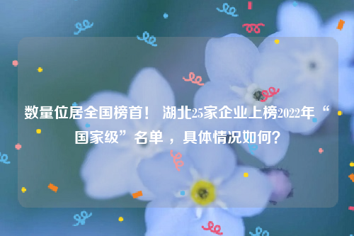 数量位居全国榜首！ 湖北25家企业上榜2022年“国家级”名单 ，具体情况如何？