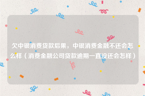 欠中银消费贷款后果，中银消费金融不还会怎么样（消费金融公司贷款逾期一直没还会怎样）