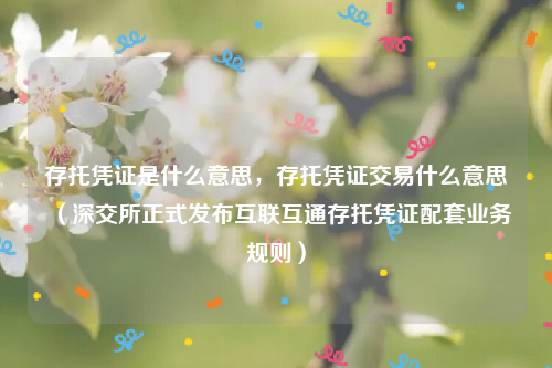 存托凭证是什么意思，存托凭证交易什么意思（深交所正式发布互联互通存托凭证配套业务规则）