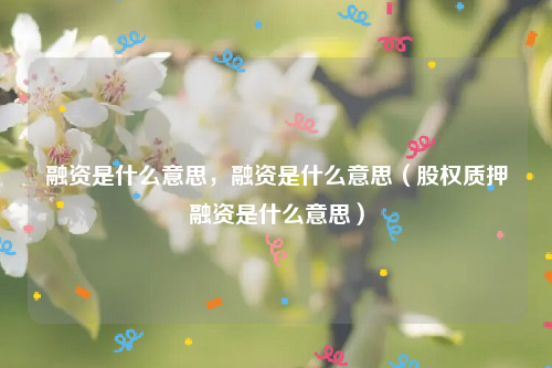 融资是什么意思，融资是什么意思（股权质押融资是什么意思）