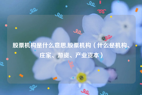 股票机构是什么意思,股票机构（什么是机构、庄家、游资、产业资本）