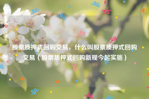 股票质押式回购交易，什么叫股票质押式回购交易（股票质押式回购新规今起实施）