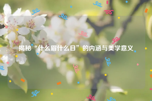 揭秘“什么眉什么目”的内涵与美学意义