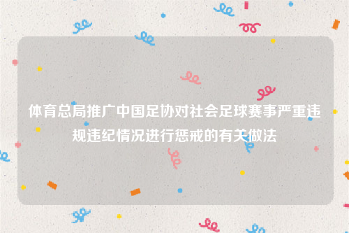 体育总局推广中国足协对社会足球赛事严重违规违纪情况进行惩戒的有关做法