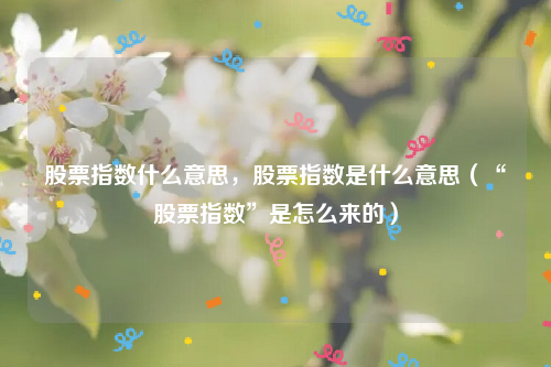 股票指数什么意思，股票指数是什么意思（“股票指数”是怎么来的）