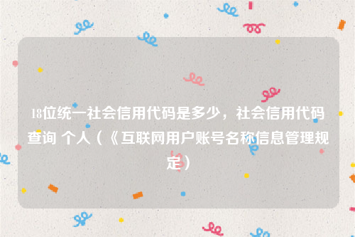 18位统一社会信用代码是多少，社会信用代码查询 个人（《互联网用户账号名称信息管理规定）