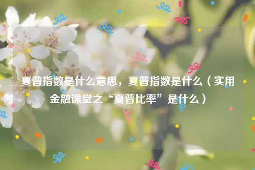 夏普指数是什么意思，夏普指数是什么（实用金融课堂之“夏普比率”是什么）